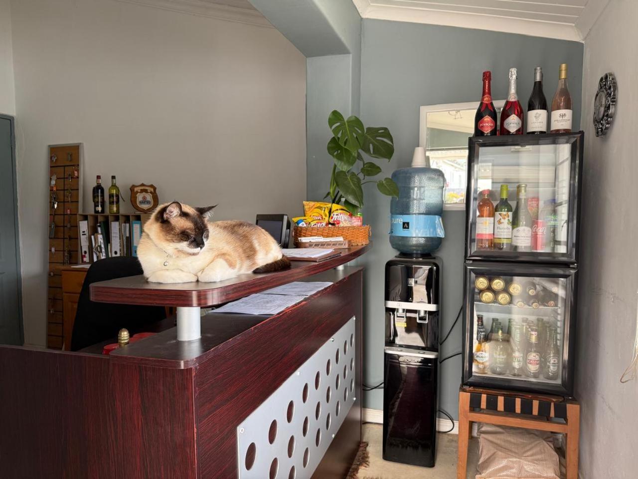 Middelplaas Paarl Guesthouse ภายนอก รูปภาพ